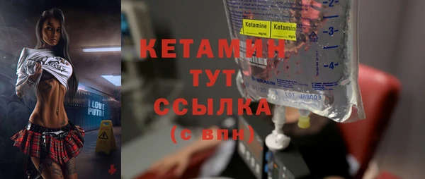 дживик Богородицк