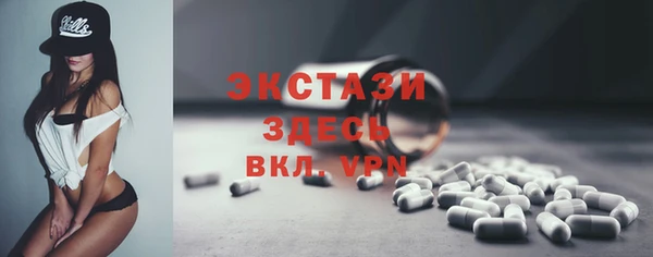 дживик Богородицк