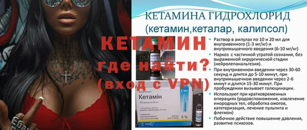 дживик Богородицк