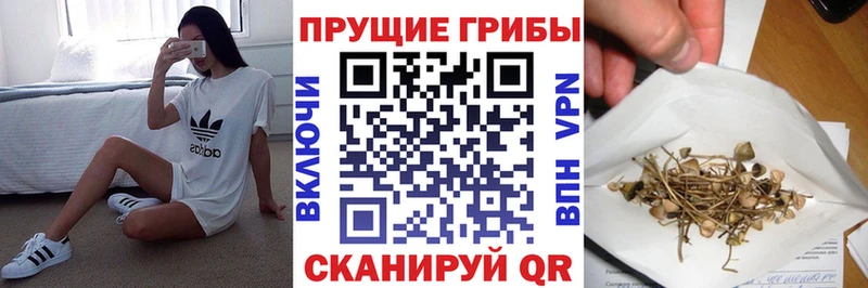 Галлюциногенные грибы MAGIC MUSHROOMS  Купить где  Темрюк 